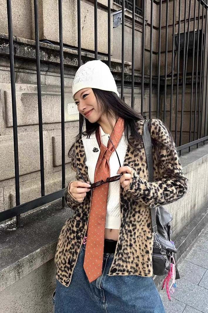 Leopard Print V Neck Knit Sweater