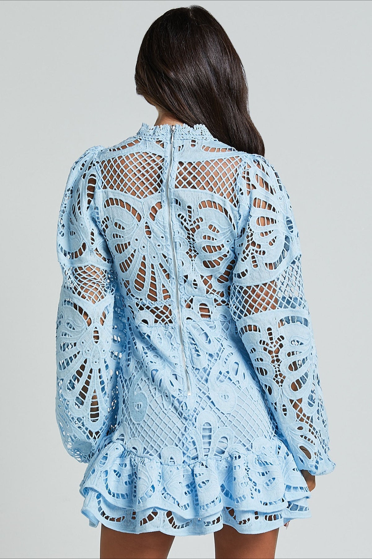 Lace High Neck Long Sleeve Fit and Flare Mini Dress