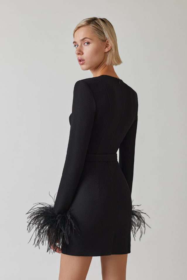 Feather Long Sleeve Bustier Dress - Fashionpara