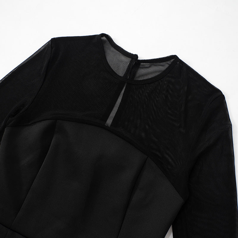 Mesh Yoke Long Sleeve Fit-and-Flare A-Line Mini Dress 10