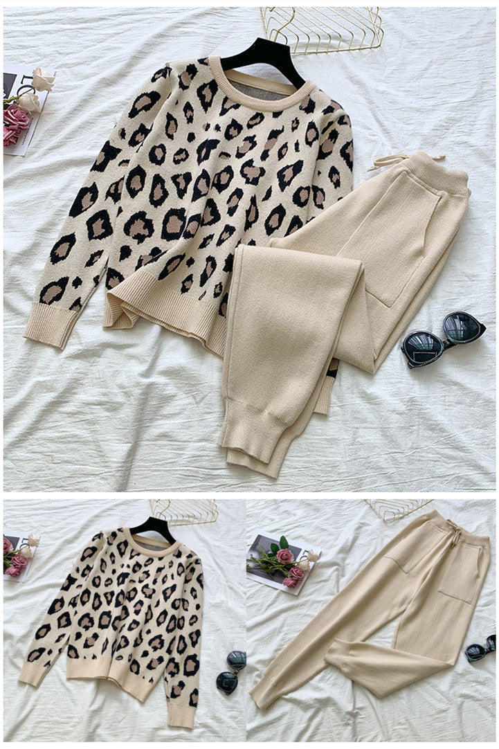 Knit Leopard Pullover Sweater and Elastic Waist Pants Set
