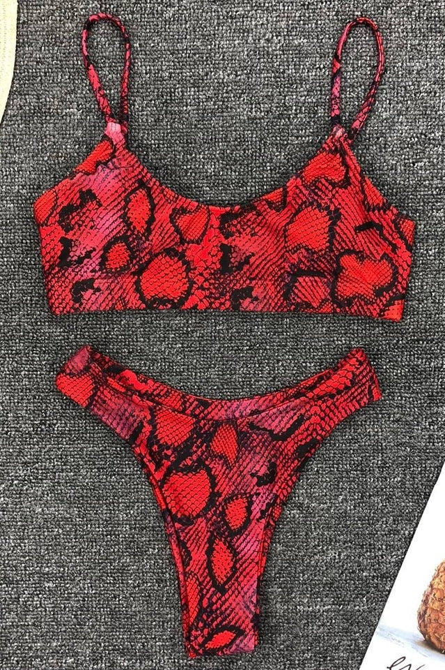 Leopard Print Bikini Set (Multicolor)
