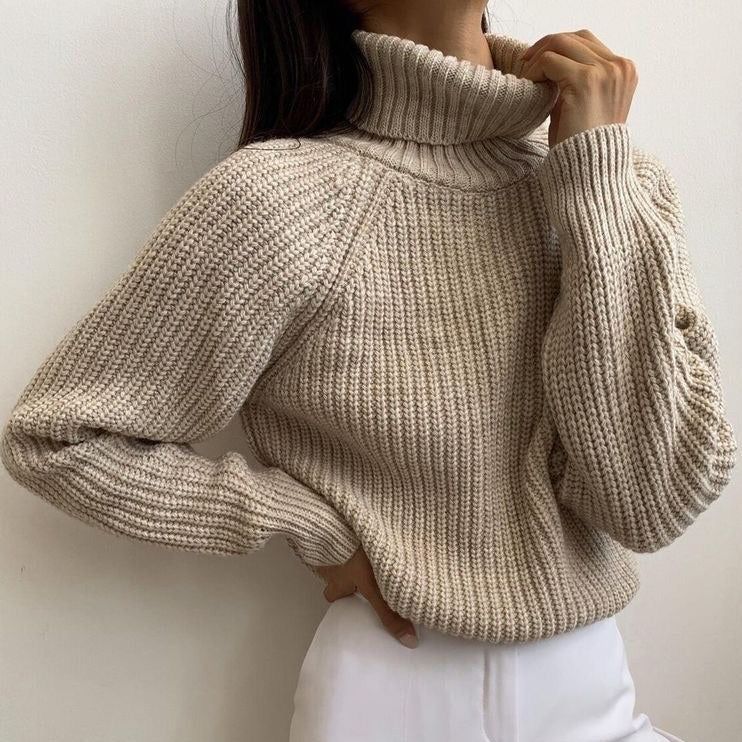Vlogger Turtleneck Knitted Sweater 6