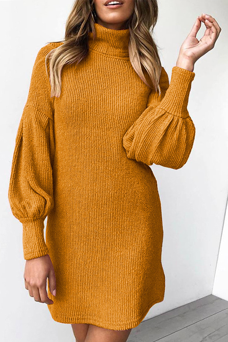 Casual Solid Patchwork Half A Turtleneck Straight Dresses - Fashionpara