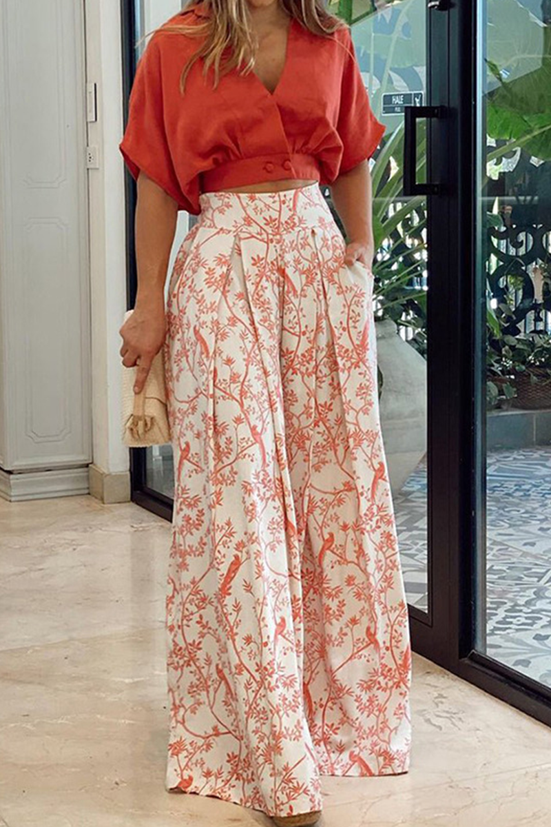 Fashion Print V Neck Short Sleeve Two Pieces(4 colors)