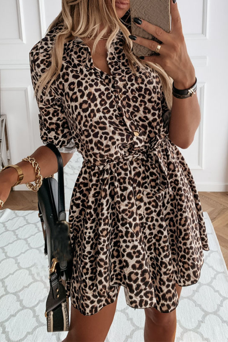 Fashion Print Split Joint Turndown Collar Cake Skirt Dresses(3 colors)