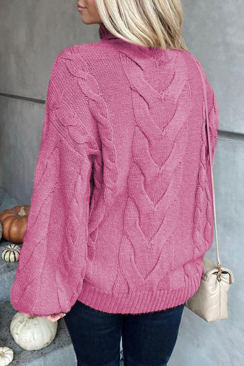 Casual Street Solid Color Turtleneck Sweaters(5 Colors) - Fashionpara