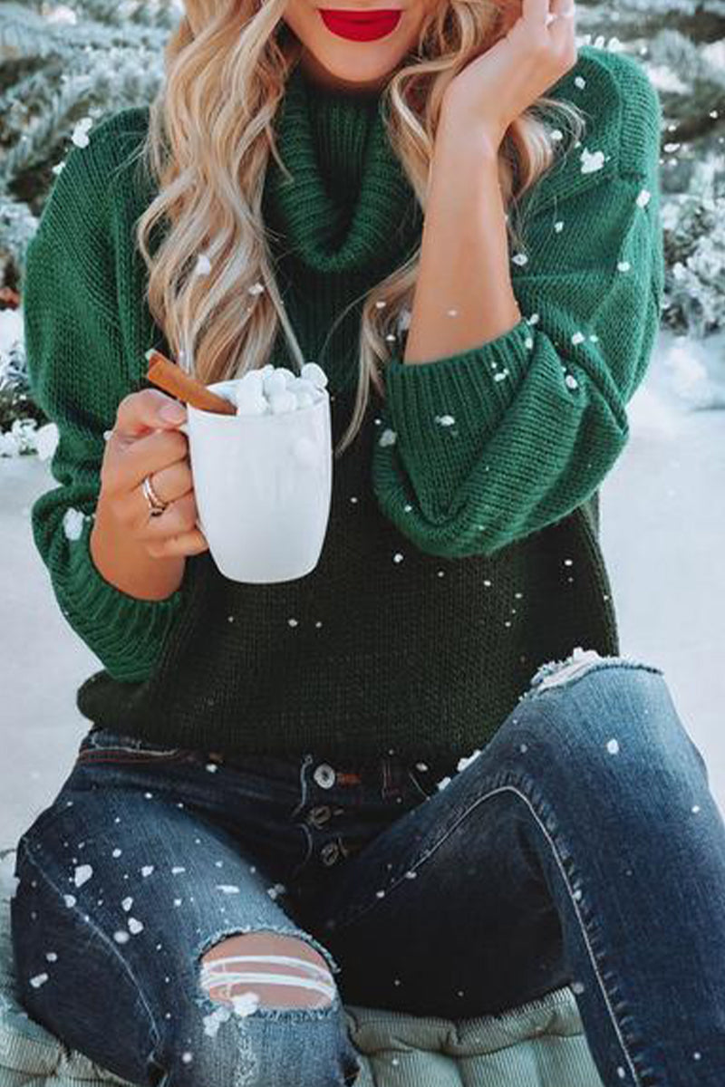 Florcoo Color Block Turtleneck Sweater in 4 Stylish Shades