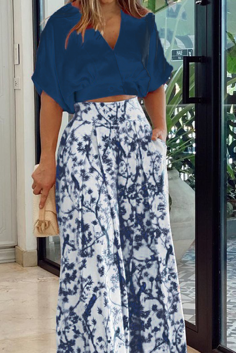 Fashion Print V Neck Short Sleeve Two Pieces(4 colors)