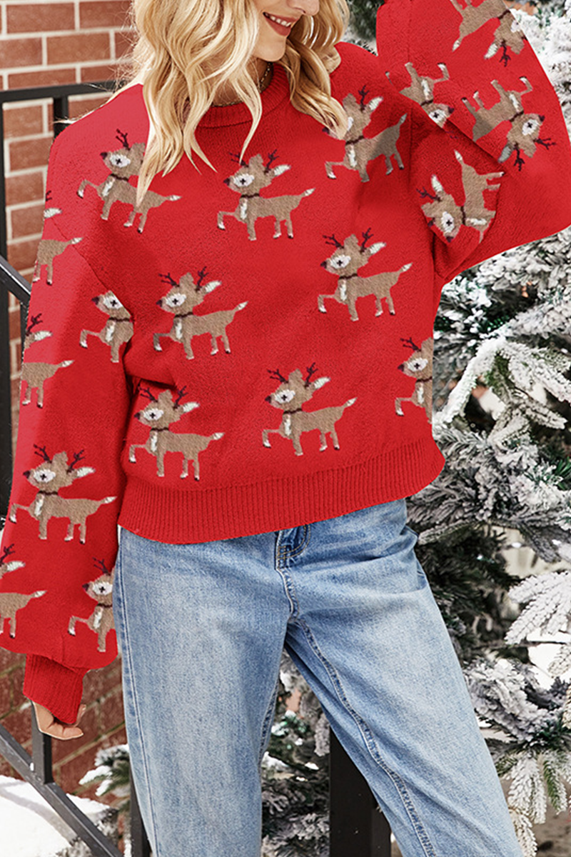 Bohonini Wapiti Jacquard O Neck Sweater in 4 Colors