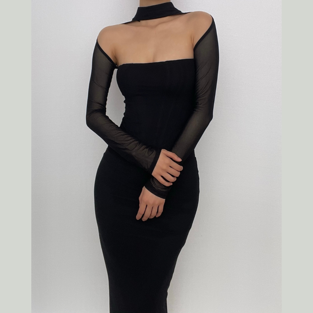 Sheer Mesh Long Sleeve Choker Strapless Bodycon Midi Dress