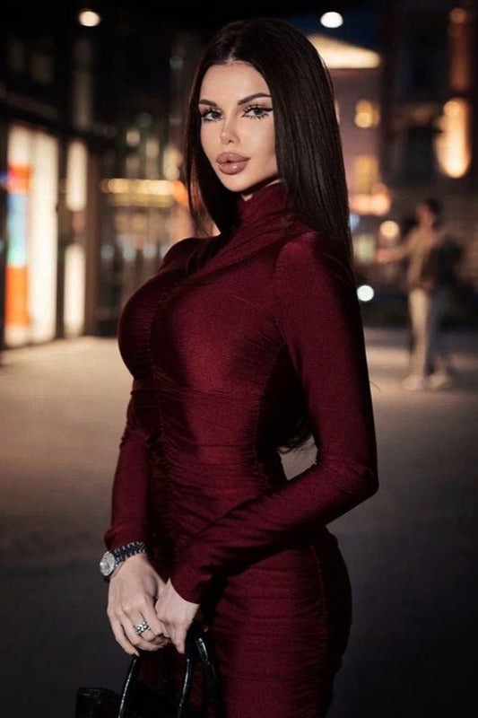 High Neck Long Sleeve Ruched Bodycon Dress 3