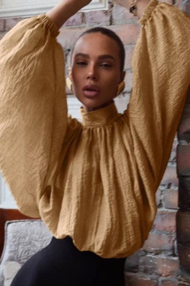 Stand Collar Lantern Sleeve Blouse - Fashionpara