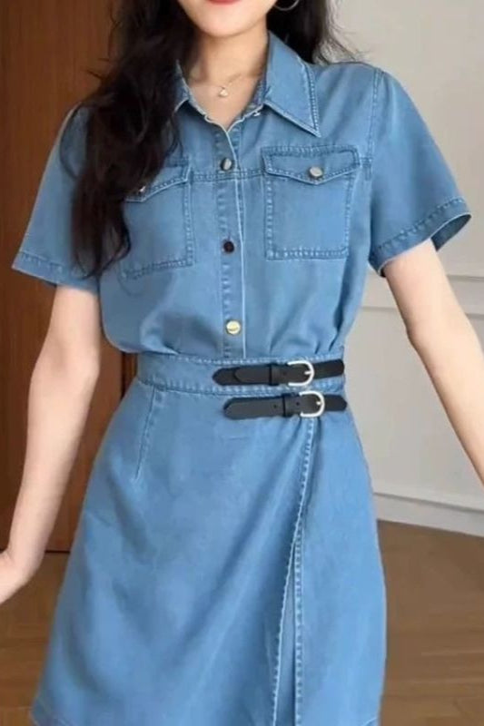 Waist Cinch Denim Dress