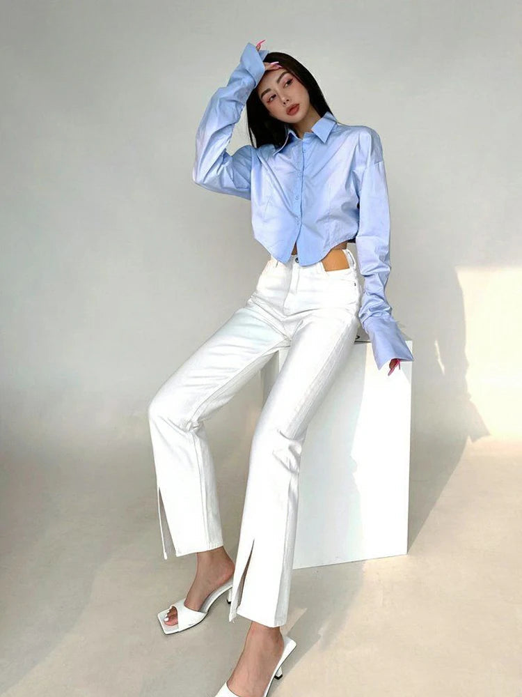 Korean Style Long Sleeve Button Crop Blouse