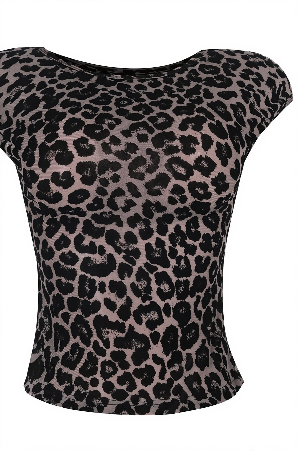 Sheer Leopard Mesh Short Sleeve Blouse