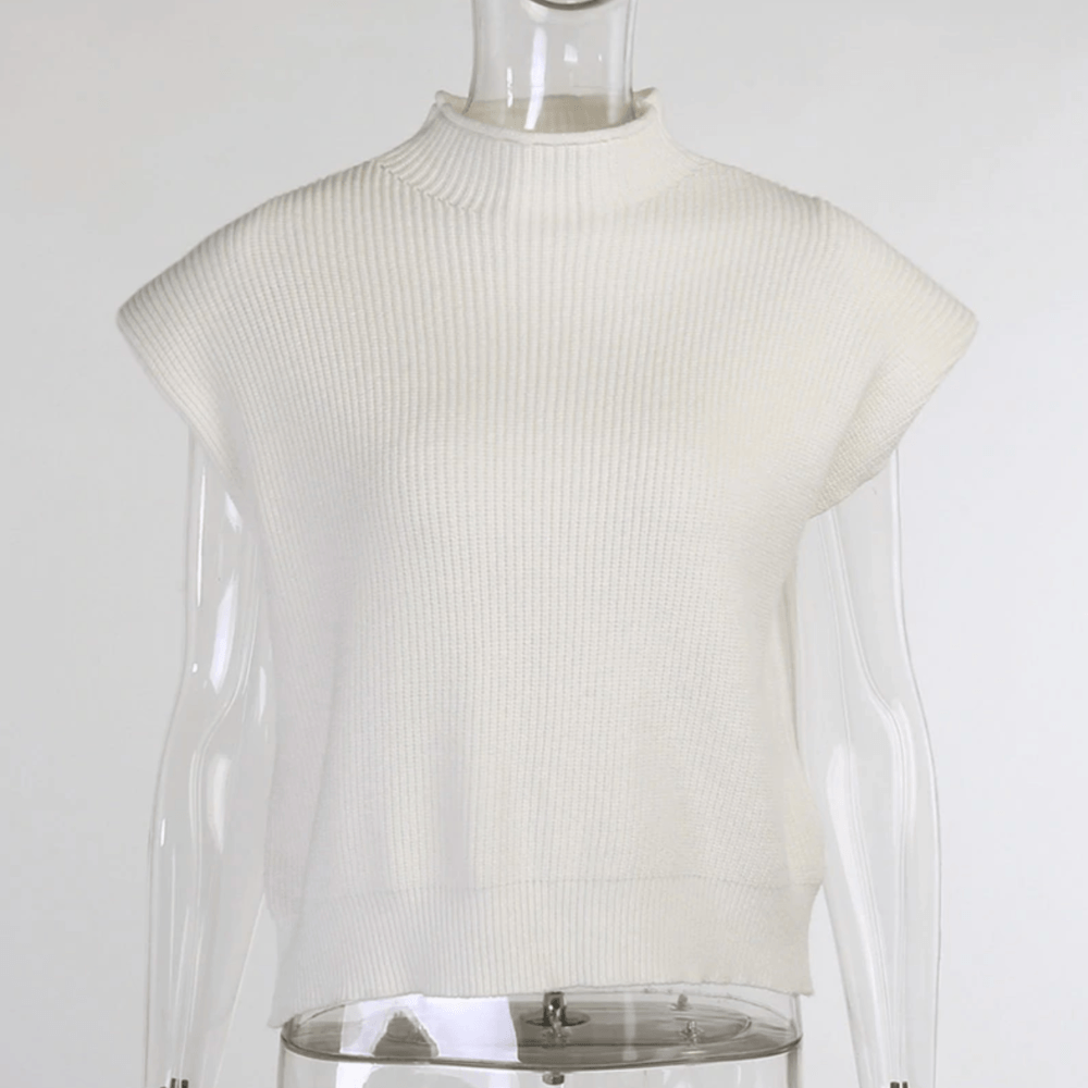 Meggy Vintage Ribbed Turtleneck Knitted Vest
