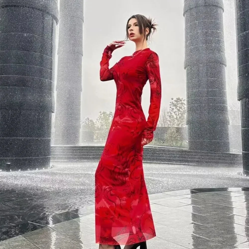 Printed High Neck Long Sleeve Bodycon Maxi Dress