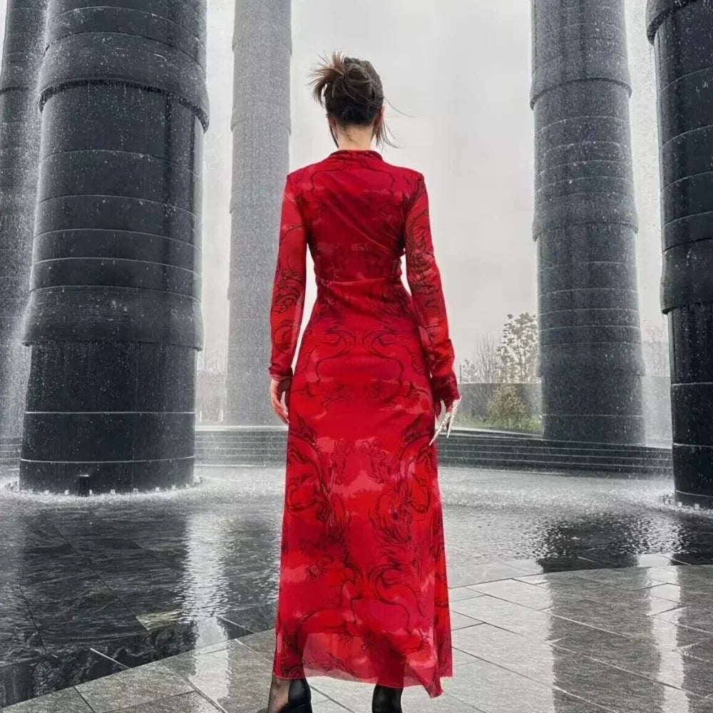 Printed High Neck Long Sleeve Bodycon Maxi Dress