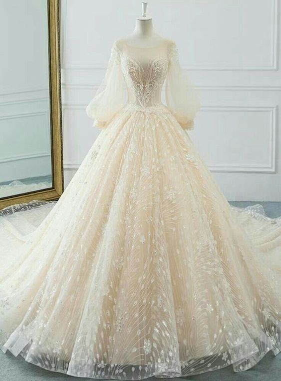 Vintage Long Sleeve Wedding Dresses Sexy Appliques Lace Ball Gown Wedding Dresses