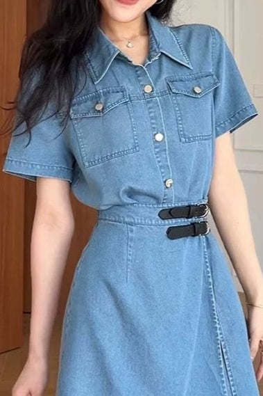 Waist Cinch Denim Dress