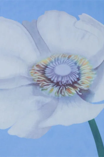 Mesh Print Lace-Up See-Through Backless Maxi Dress