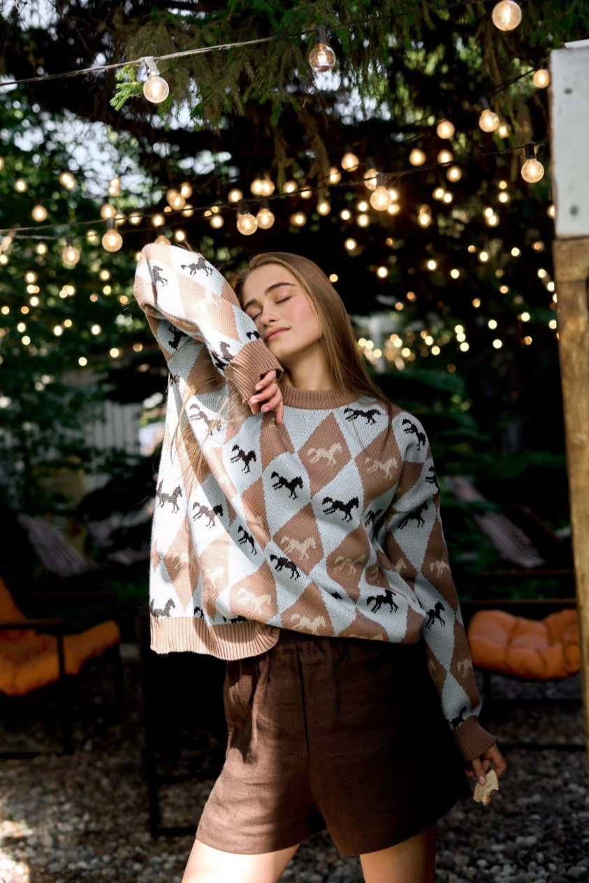 PrincessAce Colorblock Knit Sweater for Effortless Style