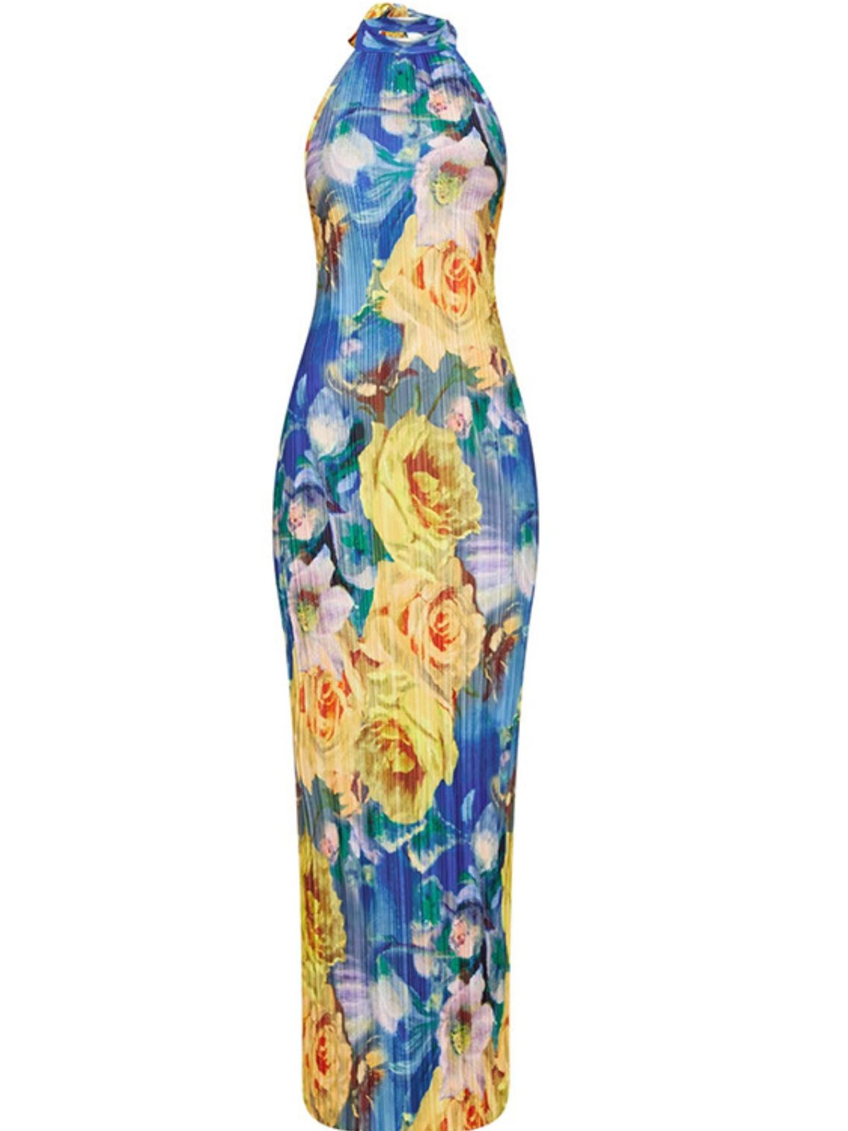 Maemi Halterneck Printed Maxi Dress
