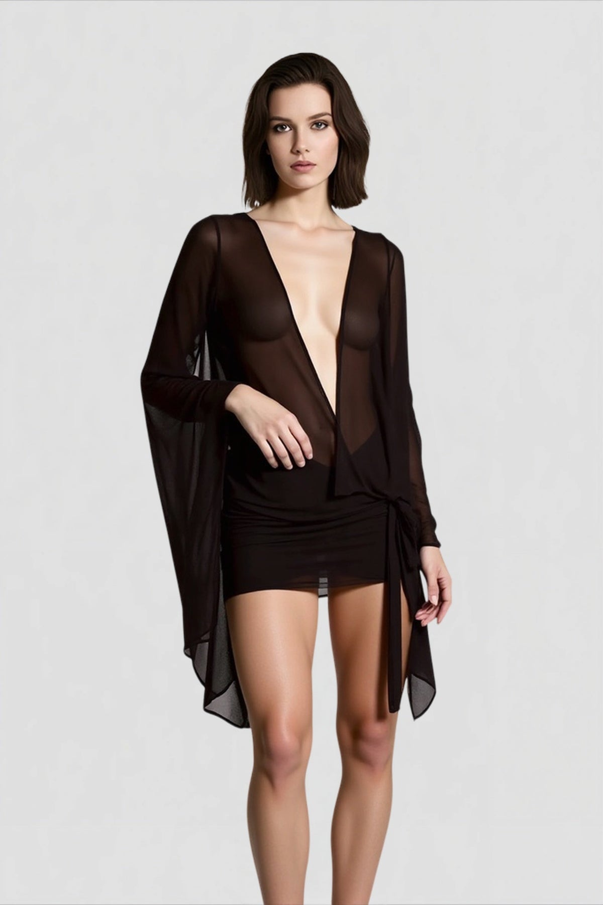 Sheer Mesh Mini Dress