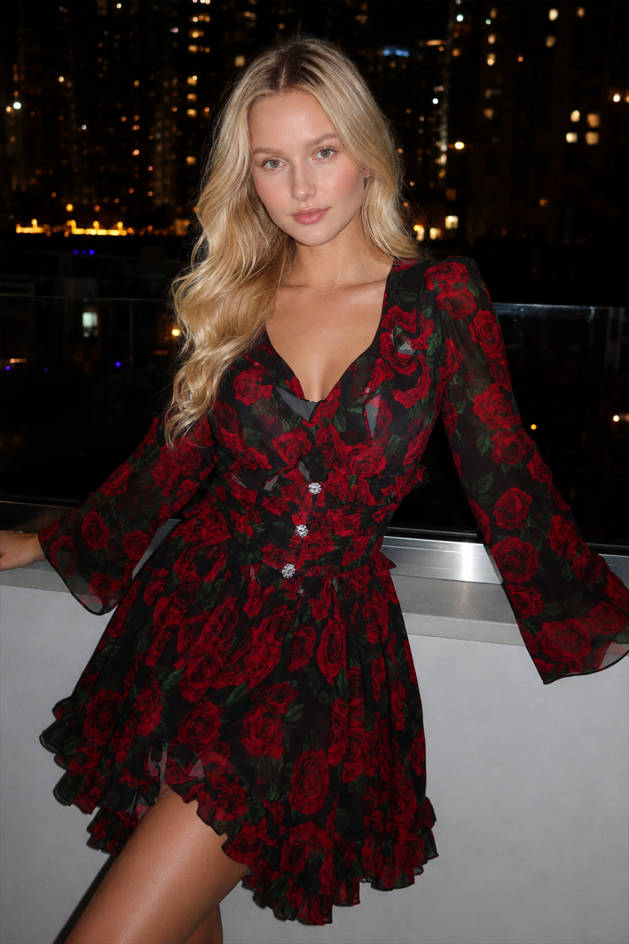 Rose Floral V-Neck Long Sleeve Ruffle Mini Dress 2