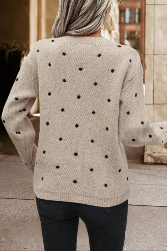 Textured Dot Crew Neck Pullover Knit Sweater 3