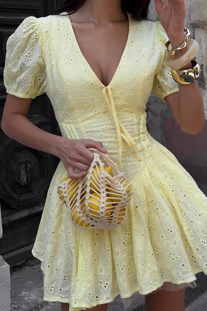 Broderie V-Neck Puff Sleeve Fit and Flare Mini Dress