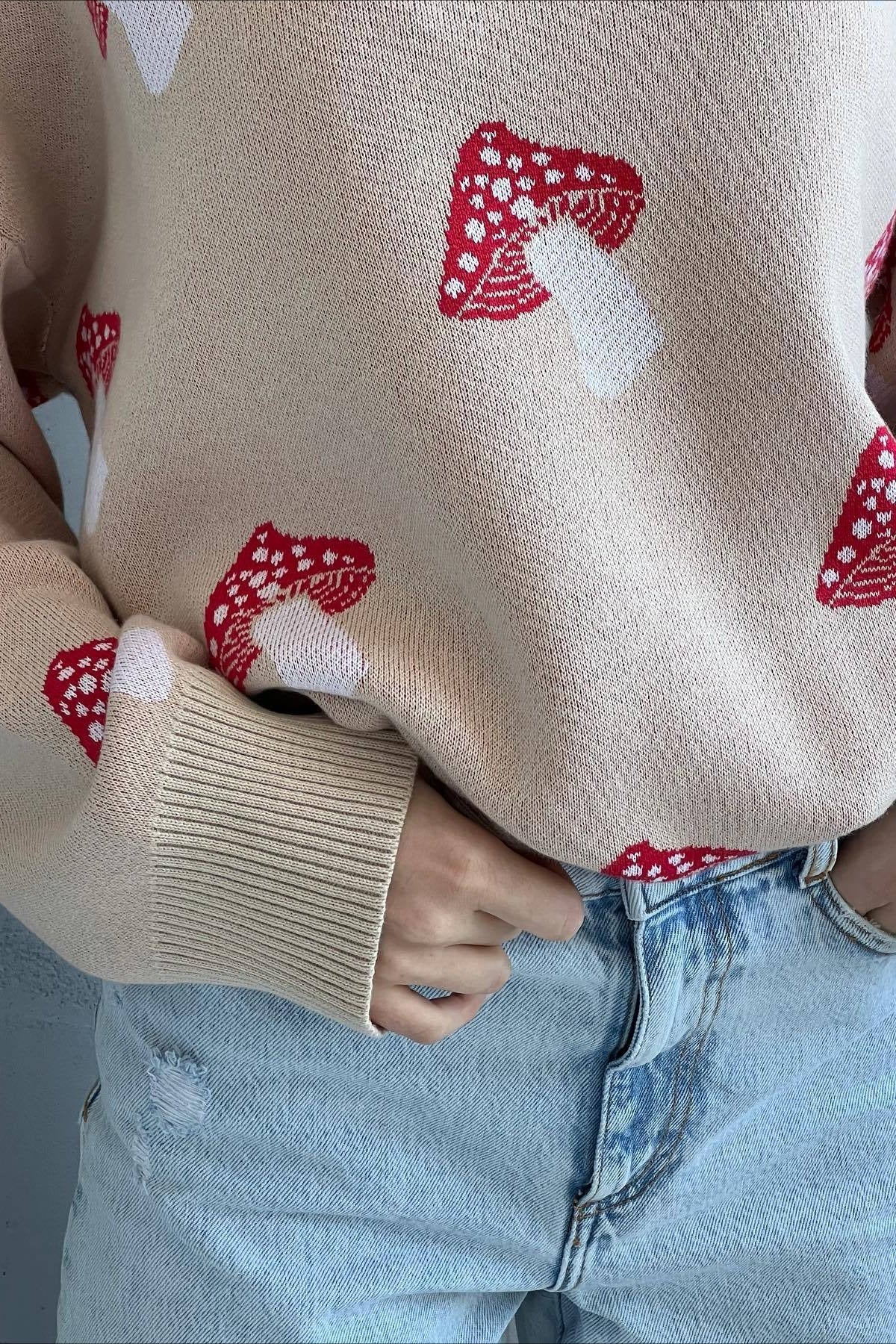 Mushroom Print Knit Sweater