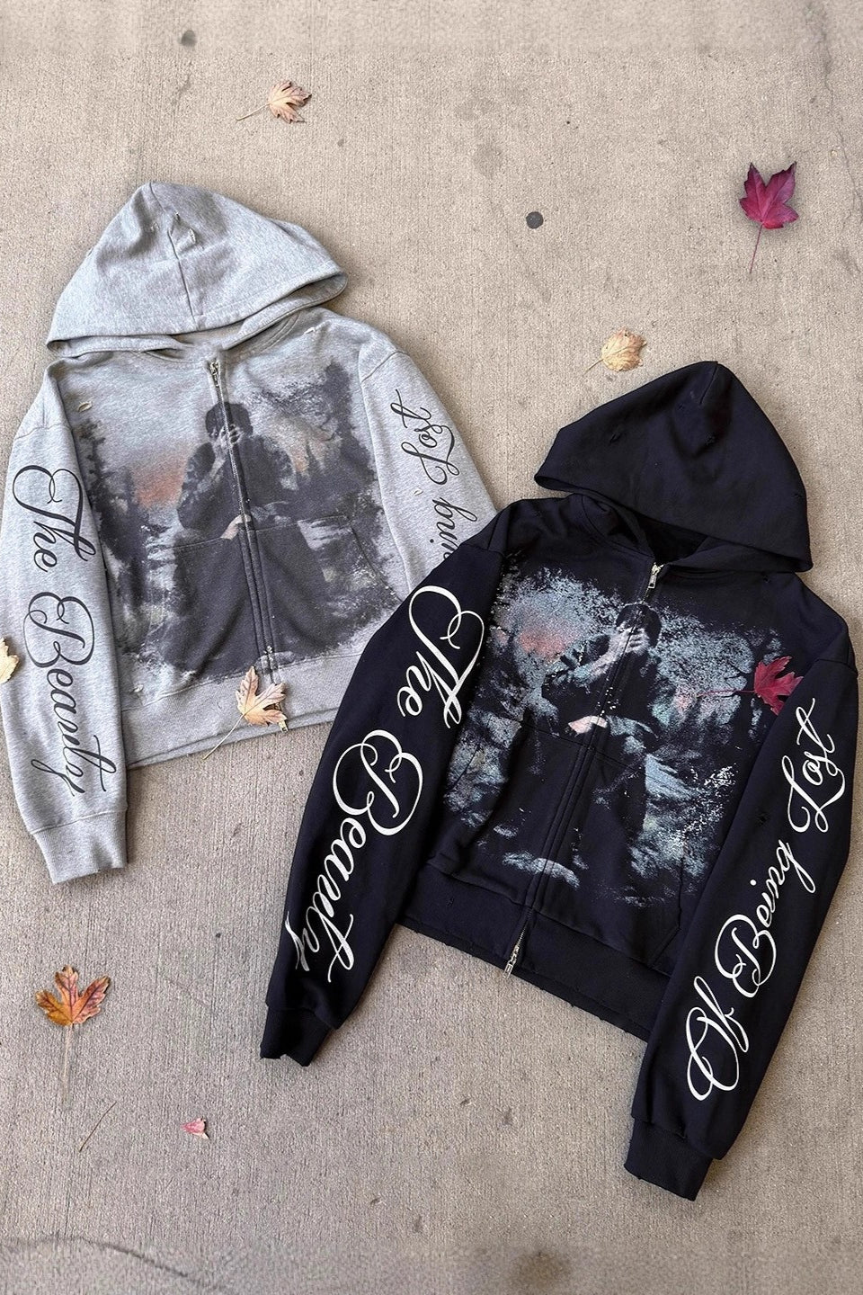 Photo Letter Graphic Zip Front Hoodie