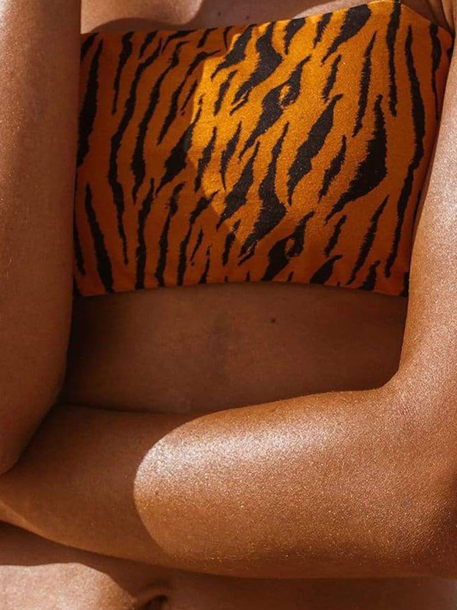 Bandeau Zebra Stripe Two pieces Swimsuit - Fashionpara