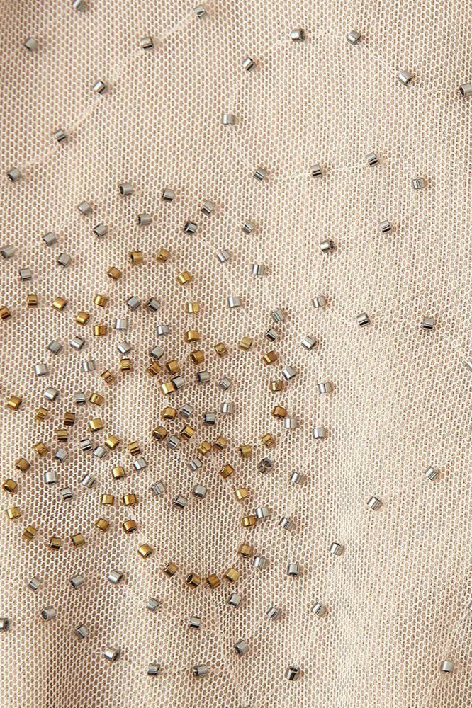 Embellished Sheer Solid Maxi Dress