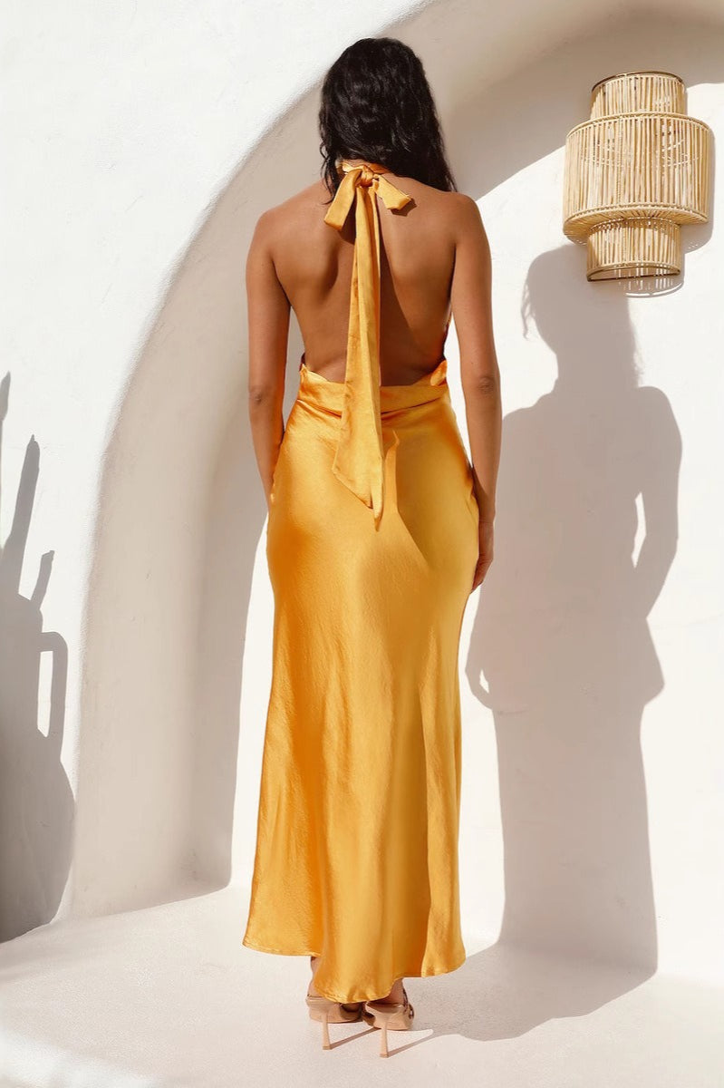 Satin Halter Neck Backless Bias-Cut Maxi Dress 3