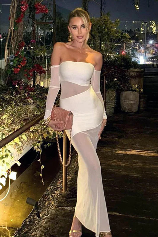 Elegant Sexy Fitted Mesh Panel Long Sleeve Bustier Party Dress