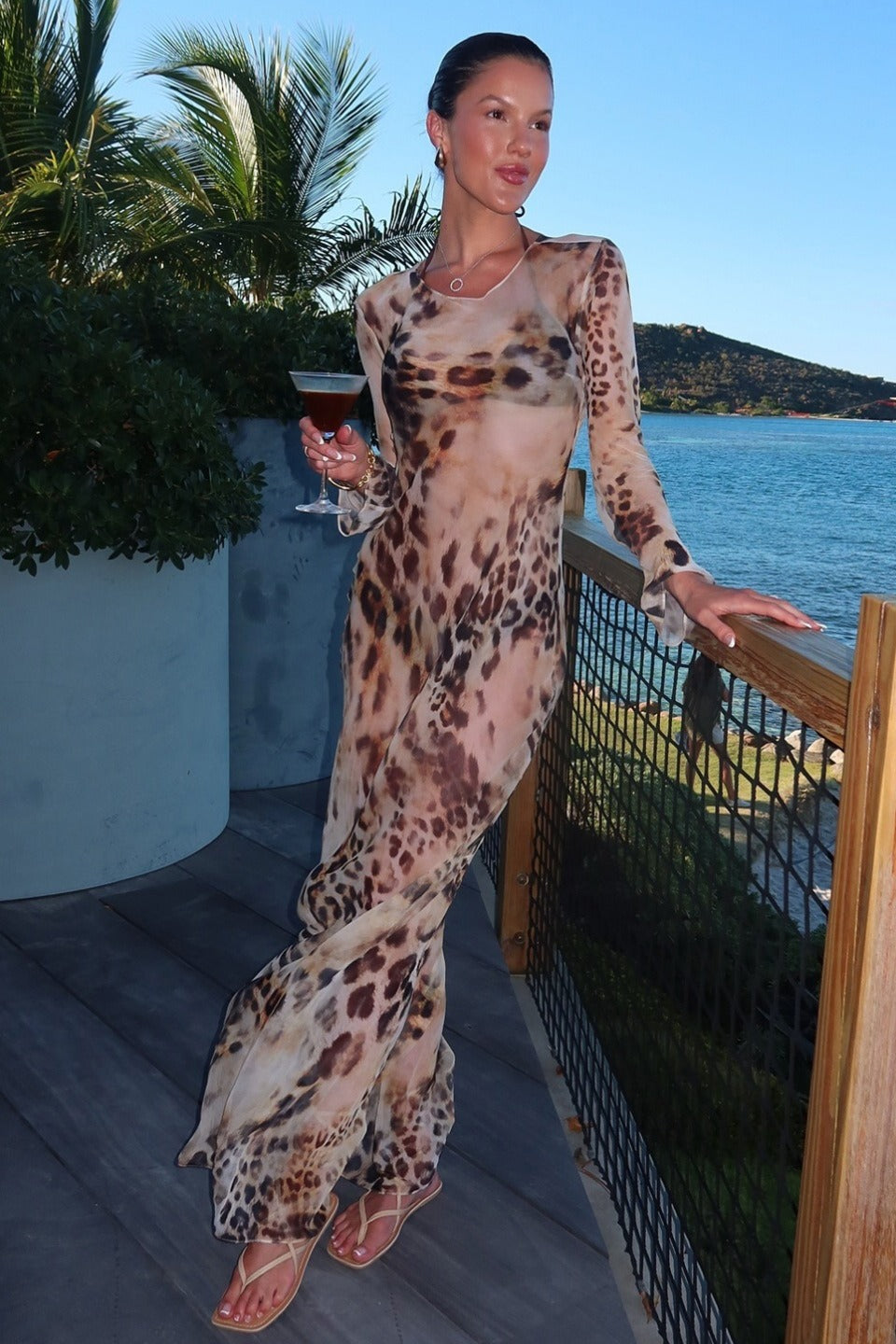 Leopard Print Long Sleeve Sheer Mesh Maxi Dress
