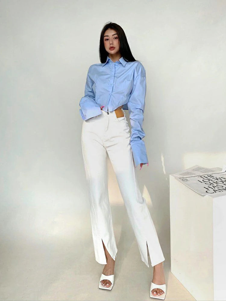 Korean Style Long Sleeve Button Crop Blouse