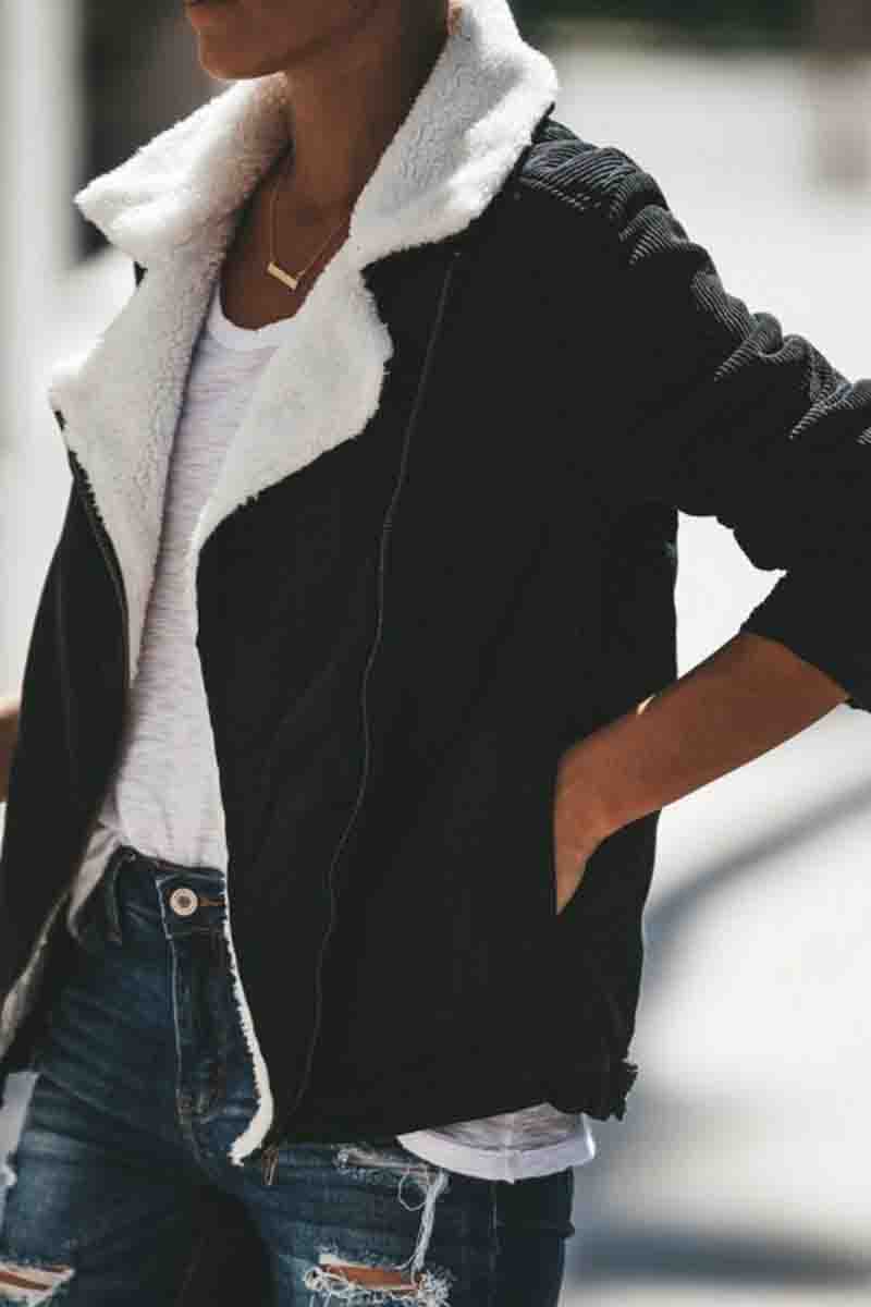 Turndown Collar Zipper Basic Coat (2 Colors)