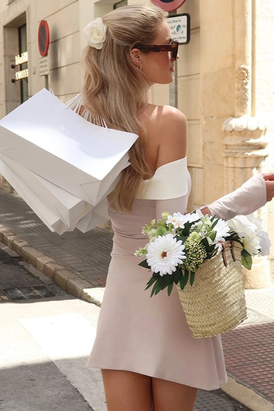 Elegant Classic Corset Party Dress