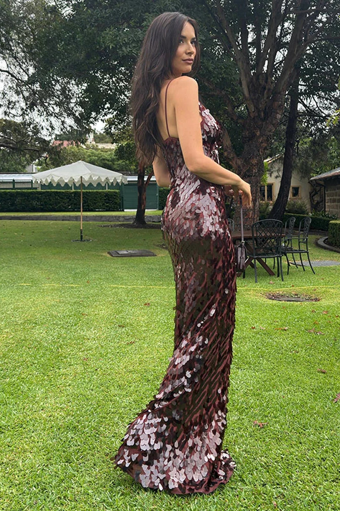 Sexy Sequin Long Maxi Dress - View 4