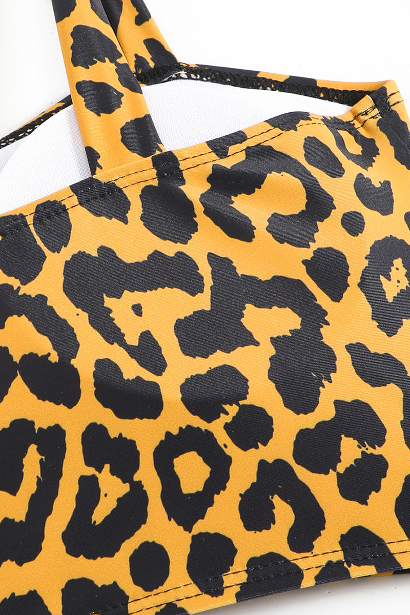 Sexy Animal Print Bikini Two Piece Swim Set