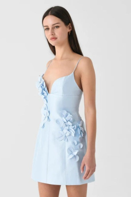 Floral Applique Spaghetti Strap Sweetheart A-Line Mini Dress