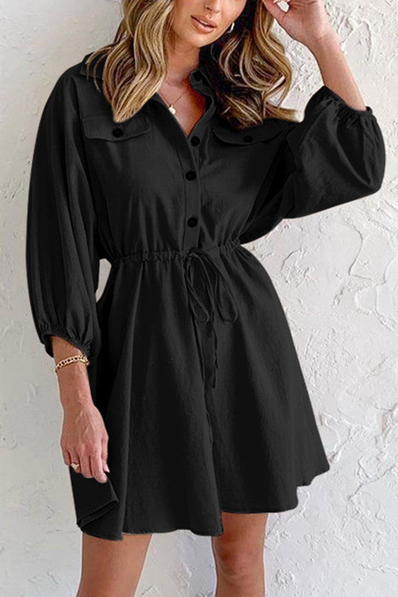 Lapel Drawstring Swing Dress
