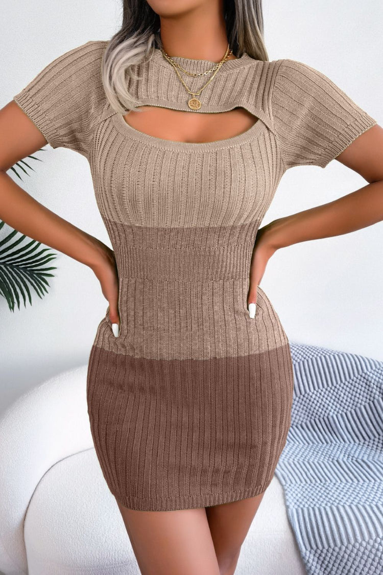 Color Block Cutout Short Sleeve Sweater Dress  Fashionpara