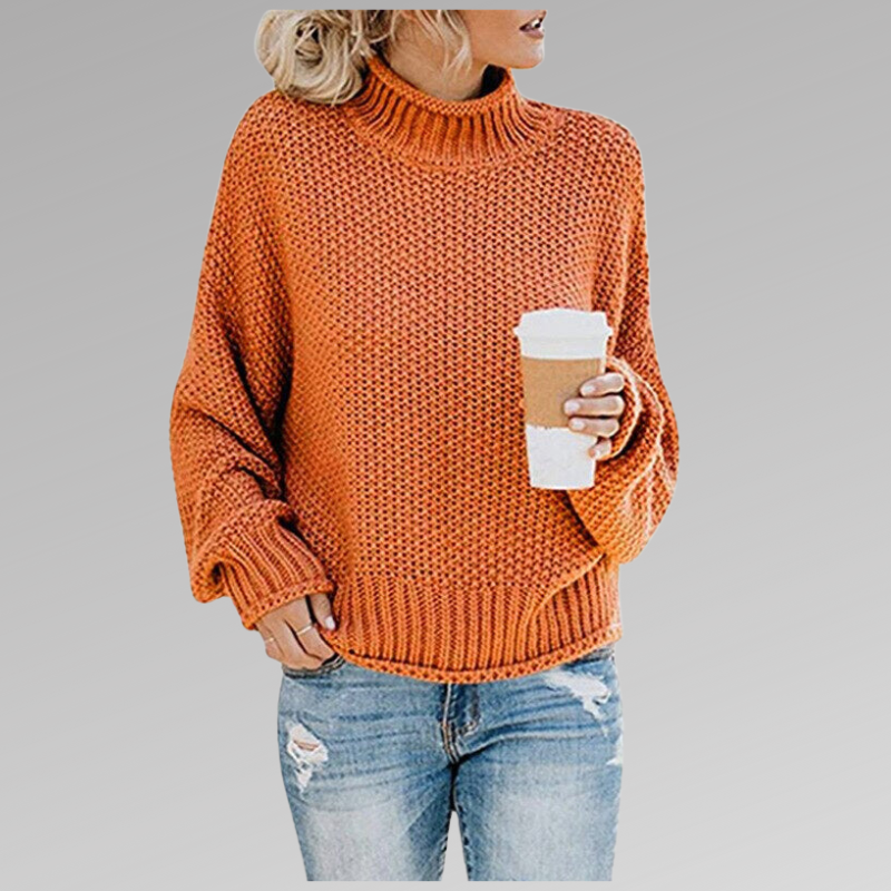 Turtleneck Drop Shoulder Chunky Knit Sweater