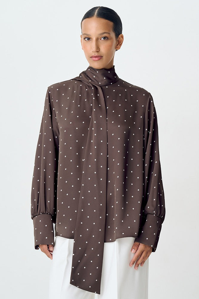 Polka Dot Tie Neck Blouse