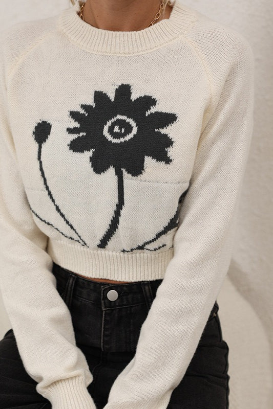 Round Neck Knit Sweater